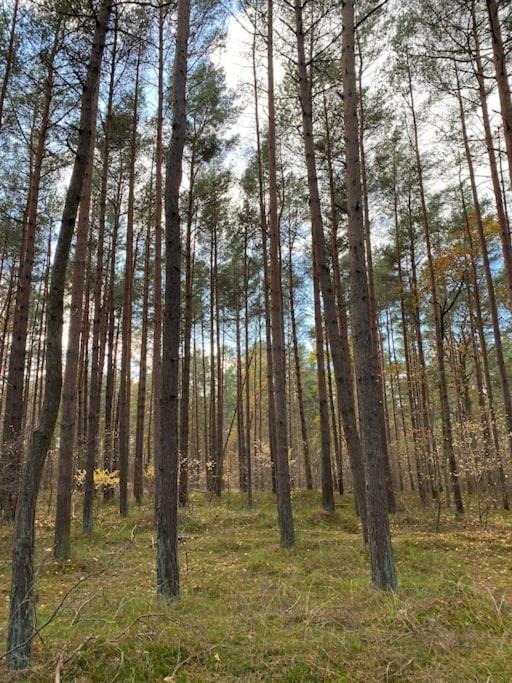 Ferienwohnung Fuer Naturliebhaber Peenemunde Extérieur photo